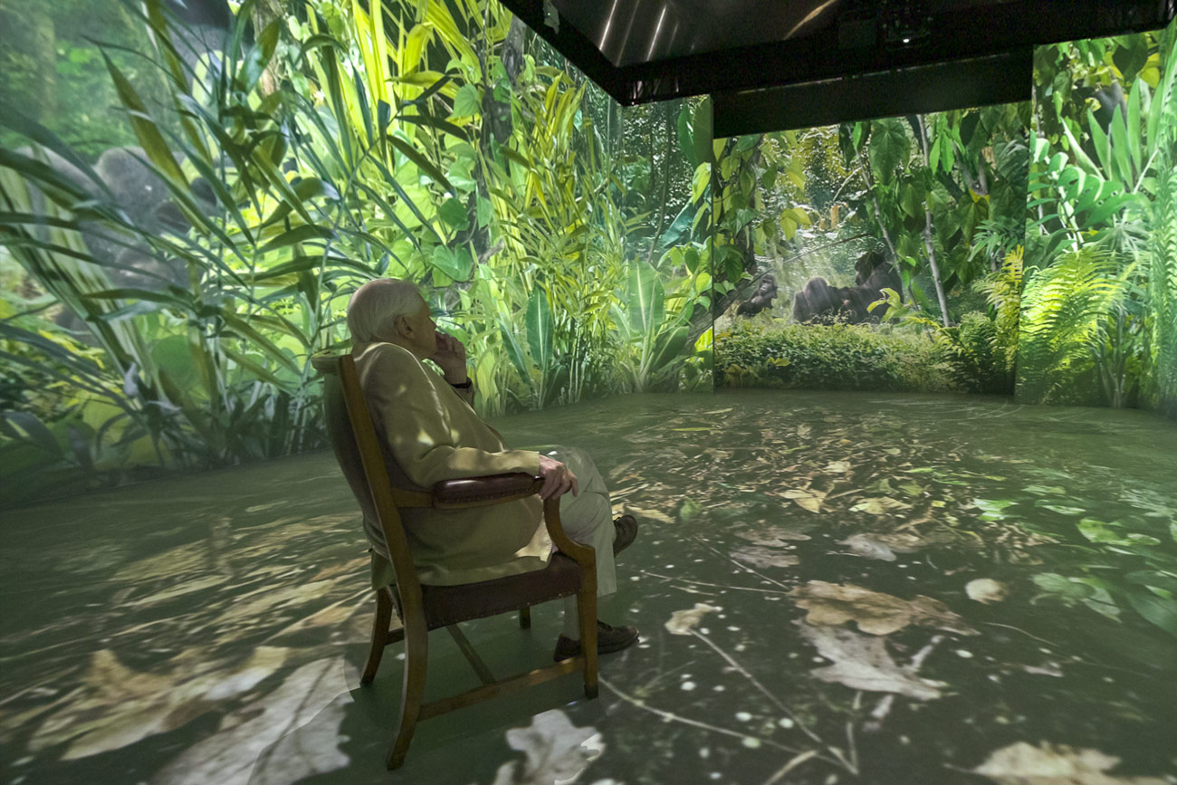 David Attenborough Immersive Experience